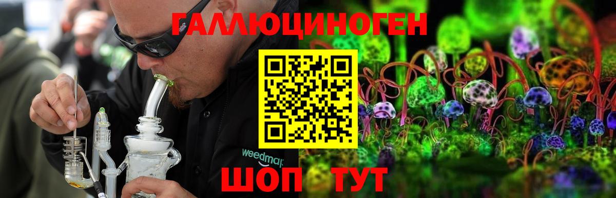 Псилоцибиновые грибы мухоморы  сколько стоит  Гай  Вход с VPN 